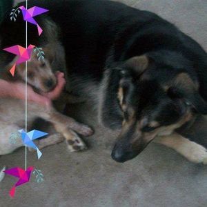 Meet your Posher, Christina